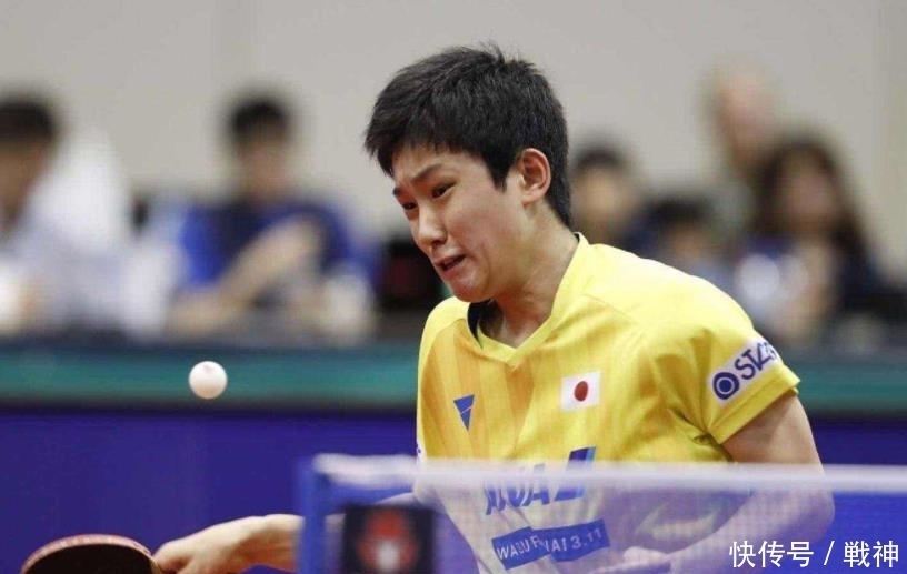 不仅破坏了 不仅破坏了